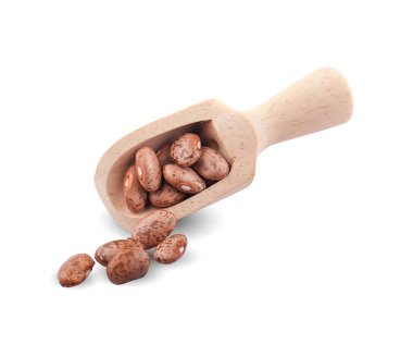 pinto fasulyeleri beyaz arkaplanda izole