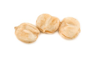 Beyaz arkaplanda Asya Palmiyesi