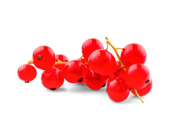 Red Currant Berries Isolated White Background — Stock Photo, Image