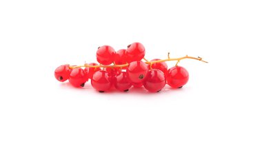 Kırmızı frenk üzümü, beyaz arka planda izole edilmiş.