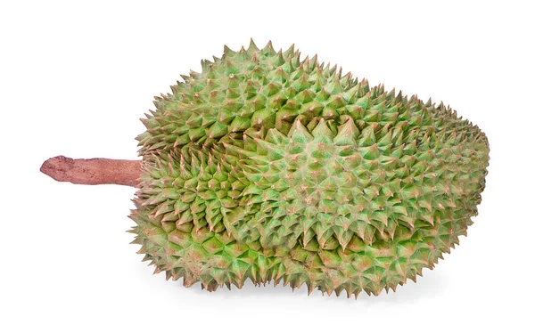 Durian Isolated White Background — Stock Photo, Image