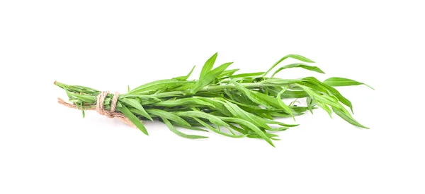 Tarragon Artemisia Dracunculus Geïsoleerd Witte Achtergrond — Stockfoto