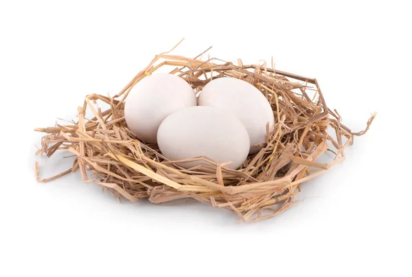 Stüdyoda Yumurta Yeni Çiğ Yumurta Akı Fotoğrafı Kısa Makro Yakın — Stok fotoğraf