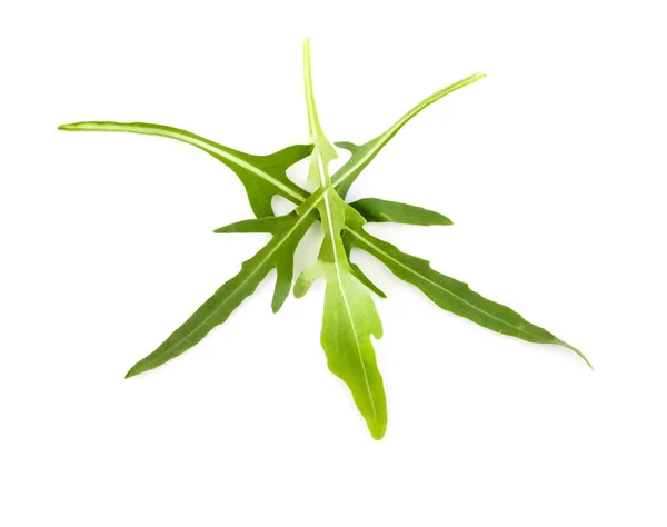 Fresh Arugula Leaves White Background — Stock Photo, Image