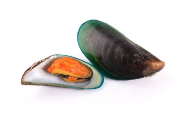 Beyaz arka planda yalıtılmış midyeler. kırpma yolu ile.
