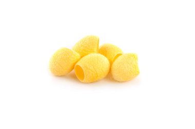 Sarı Tayland ipek böceği kozaları beyaz arka planda izole edilmiş..