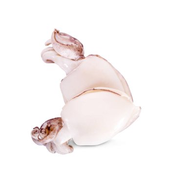 Beyaz arkaplanda taze mürekkep balığı izole edildi