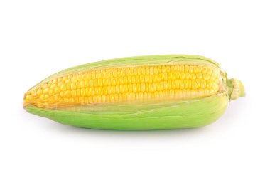 Beyaz arka planda yaprakları ayrılmış taze mısır kulakları.