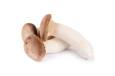 Beyaz arka planda Pleurotus eryngii mantarları