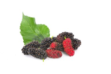 Beyaz arka planda yeşil yapraklı üç organik dut meyvesi..