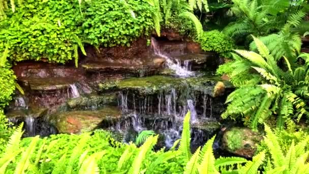 Venkovní Park Zelenou Travnatou Zahradou Rybníkem Malým Vodopádem Krása Přírodě — Stock video