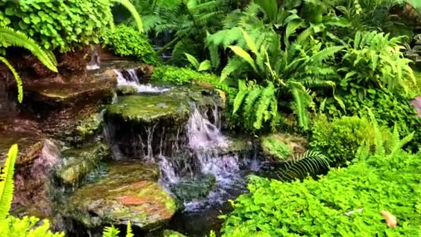 Szabadtéri Park Zöld Füves Kert Kis Vízesés Természet Szépsége — Stock videók