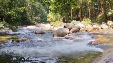 Orman Şelalesi Mossy Kayalıklarının Üzerinde Parlak Güneş Işığıyla Şelale 