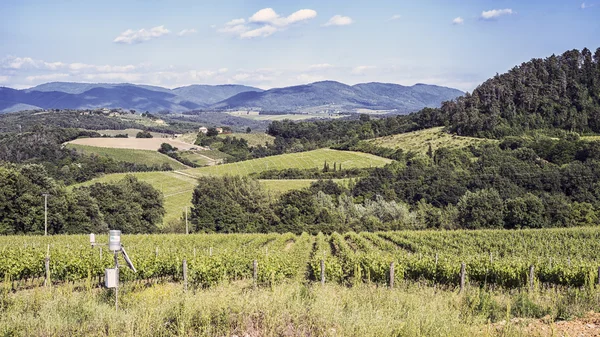 Vineyards of Chianti in Tuscany — Stock Photo, Image