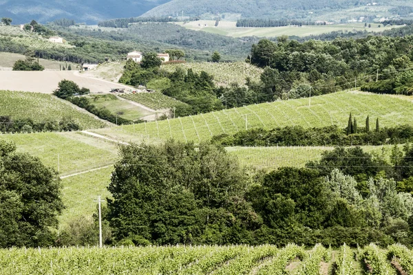 Vingårdarna i chianti i Toscana — Stockfoto