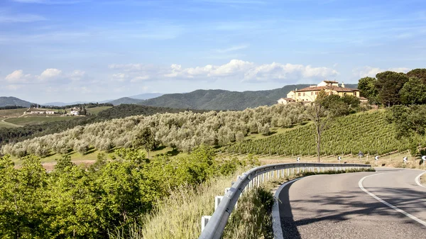 Vingårdar och olivlundar i Toscana — Stockfoto