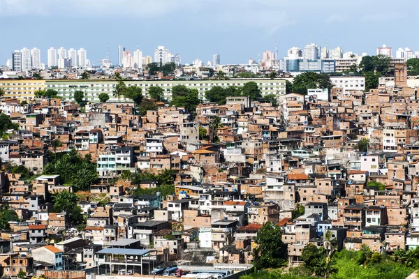 Salvador Bahia, panoramik — Stok fotoğraf