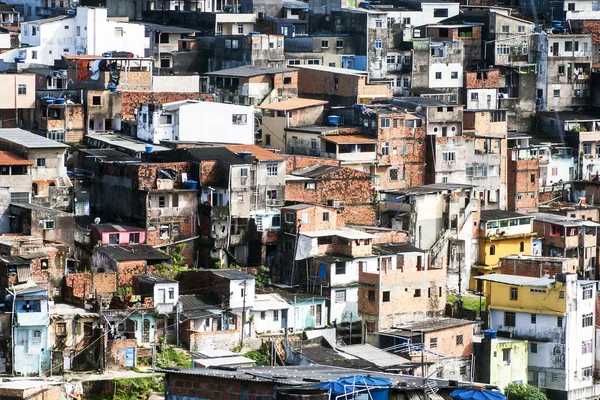 Salvador Bahia, Brazylia — Zdjęcie stockowe