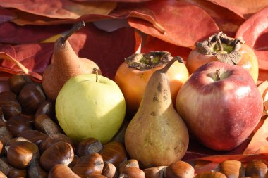 Farklı sonbahar meyve