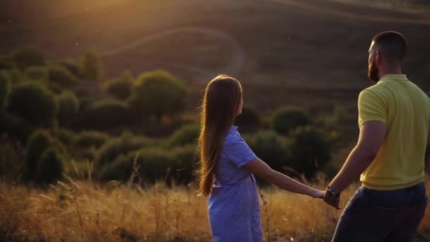Tylny widok młodej pary w miłości facet i dziewczyna trzymając się za ręce, przytulając i oglądając zachód słońca na polu na rozmytym tle drzew. Pojęcie romantycznej daty wieczornej na wsi poza miastem razem — Wideo stockowe