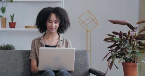 Attraktiv Afro blandras kvinna avkopplande hemma sitta på bekväm soffa med bärbar dator, chatta med vänner i sociala nätverk, spendera lugn helg, göra fjärrjobb, handla online, läsa e-post — Stockvideo