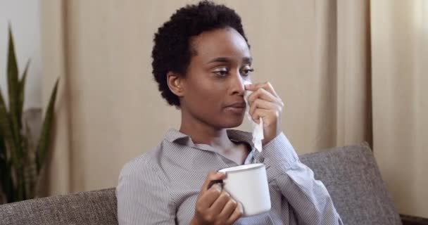 Malsana mujer afro americana enferma se sienta en el sofá con la taza en casa que sufre de gripe beber té líquido anti grippe. Mujer de raza mixta estresada atrapada limpiando en frío secreción nasal tratar en la sala de estar — Vídeo de stock