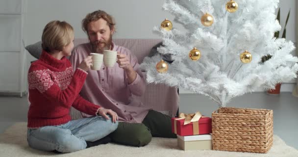 Kaukaski mężczyzna i kobieta pić kakao na Wigilię Bożego Narodzenia cieszyć się wakacyjny relaks na Nowy Rok świętować wakacje razem w ciszy w domu kubki grzanego wina herbaty, koncepcja komfortu w domu przytulny — Wideo stockowe