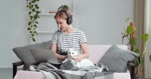 Mulher de negócios caucasiana tutor estudante sentado em casa no sofá usa microfone de cabeça e fones de ouvido fala on-line vídeo chamada conferência bate-papo com veterinário abraçando quarentena gato branco isolado — Vídeo de Stock