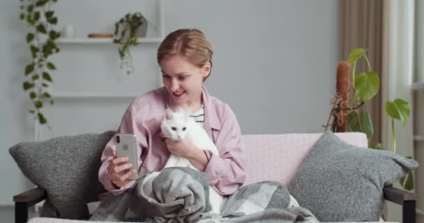 Mooie jonge glimlachende vrouw blond meisje maakt selfie foto met geliefde witte kat schattig huisdier voor sociaal netwerk maakt gebruik van smartphone mobiele telefoon camera terwijl zitten op de bank in de woonkamer thuis — Stockvideo