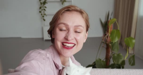 Junge Frau kaukasisches Mädchen mit Kurzhaarschnitt und schönem Make-up mit rotem Lippenstift umarmt Katze macht Foto für soziale Netzwerke schießt Video für Blog mit Haustier spricht auf Videokonferenz — Stockvideo