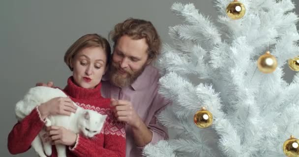 Retrato de homem caucasiano barbudo e mulher loira com corte de cabelo curto em suéter vermelho segurando gato branco em seus braços, dentes sorridentes olhando para a câmera, de pé perto da árvore de Natal em casa na sala de estar — Vídeo de Stock