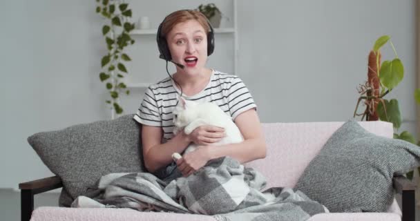 Vista desde la webcam mujer joven, chica con corte de pelo corto, lleva auriculares y micrófono de cabeza, se sienta en casa en cuarentena aislamiento, hace videoconferencia a veterinarios abrazos gato muestra mascota a cámara — Vídeo de stock