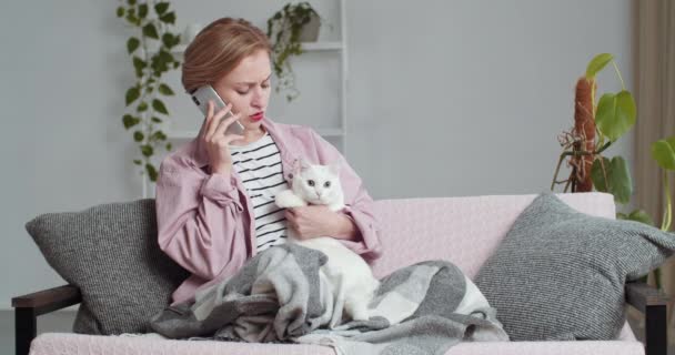 Σοβαρή εστιασμένη κοπέλα freelancer κάθεται στον καναπέ στο σαλόνι καλύπτονται με μαλακό μάλλινη κουβέρτα αγκαλιές χαϊδεύει χνουδωτή γάτα ζώο κατοικίδιο ζώο γατάκι επικοινωνεί εξ αποστάσεως με τους φίλους ή την οικογένεια χρησιμοποιώντας smartphone — Αρχείο Βίντεο