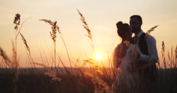浪漫的千年新婚夫妇在秋日的背景下,在小径上的落日.一个穿着婚纱的新娘和她心爱的新郎拥抱在外面的大自然中。新婚夫妇外出度假. — 图库视频影像