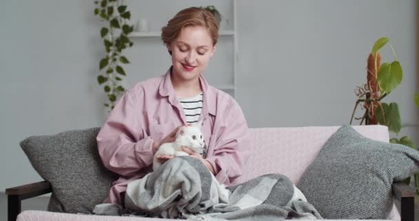Mulher loira em rosa camisa casual escondendo atrás quente sexto cobertor senta-se no sofá na sala de estar em casa abraços acariciando macio fofo gato branco animal de estimação gatinho passa o tempo descansando calmamente relaxante sozinho — Vídeo de Stock