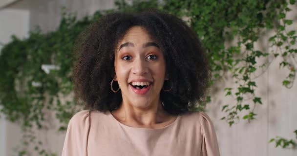 Gros plan portrait front view of female young face african american girl mixed race woman curly-haired teenage girl opens her mouth in surprise says wow feels shock delight of unknown good news — Video