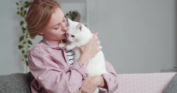 Close-up portret van jonge mooie aantrekkelijke blanke vrouw blond in roze shirt met perfecte make-up en rode lippenstift drukt haar gezicht tegen witte geliefde huisdier kussen binnenlandse kat zitten op de bank — Stockvideo