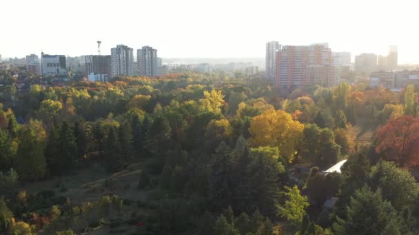 Vliegen over een prachtig herfstbos gelegen nabij de stad. Bovenaanzicht van een dicht bos bij warm en zonnig weer. Lange huizen staan vlakbij het bos. Een bos dat eruit ziet als een park met veel bomen. — Stockvideo