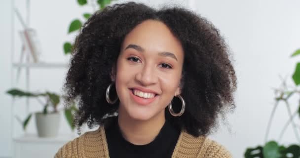 Vista da web câmera retrato afro-americana menina étnica com cabelo encaracolado fala se comunica remotamente ri sinceramente sorri registros vídeo blog faz conferência on-line chamada bate-papo fica em casa — Vídeo de Stock