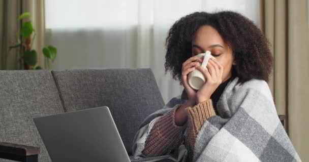 Afro amerikansk kvinna dricker te från vit mugg njuter kaffe varm cappuccino tittar i laptop täckt med filt vilar njuta av mysig atmosfär hemma tillbringar tid ensam i drömmar och tankar — Stockvideo