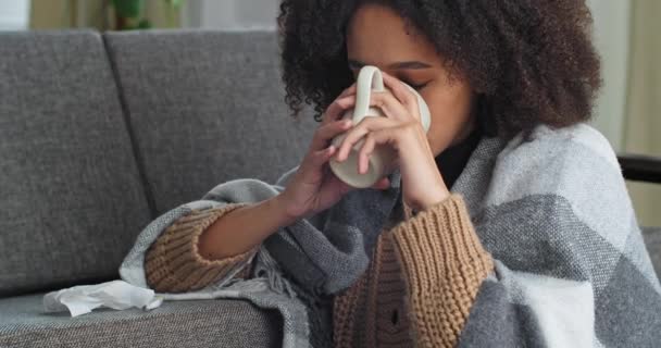 Retrato de una mujer afroamericana enferma bebiendo té sintiendo dolor de cabeza envuelta en una manta sosteniendo una taza de medicina caliente en sus manos siendo tratada por un virus que sufre de un virus de secreción nasal triste en casa — Vídeo de stock