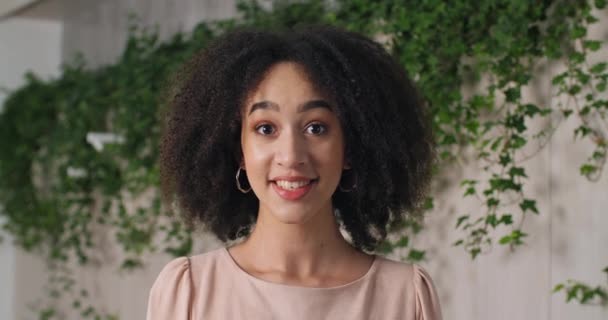 Portré gyönyörű fiatal fekete lány afro-amerikai nő tinédzser göndör frizura tökéletes smink és sötét bőr nézi a kamera mosolygós pufók őszinte, női boldog arc közelkép — Stock videók