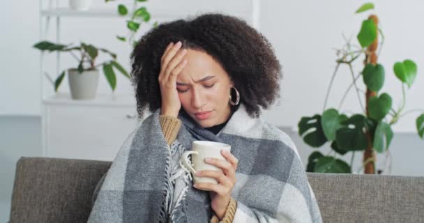 Porträtt av sjuk trött afrikansk amerikansk kvinna patient med vit kopp sitter på soffan hemma kämpar från migrän sjukdom virus symptom dricka varmt te uppvärmning hålla huvudet känsla huvudvärk — Stockvideo
