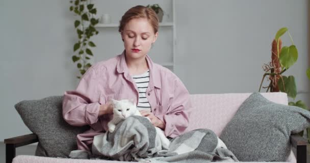 Красивая молодая женщина кавказская девушка девушка в розовой повседневной одежде рубашки с красной помадой и короткие волосы покрыты мягким одеялом сидит на диване дома обнимает белый кот котенок любимое животное — стоковое видео