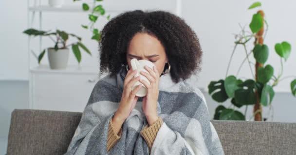 Afro amerikanska kvinna lindade in sig i filt sitter hemma på soffan dricka te från vit mugg lider av kalla våtservetter näsan med servett känns kalla symptom på allergi virus sjukdom ledsen — Stockvideo