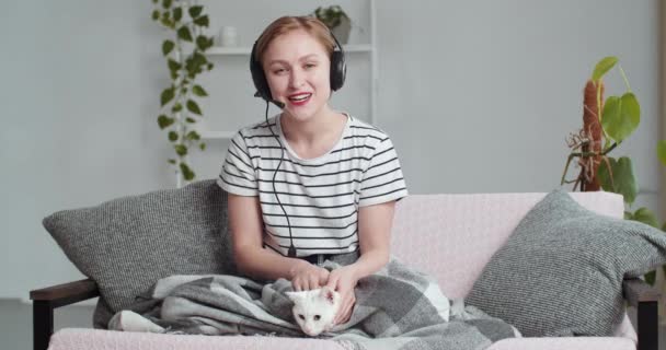 Webbkamera syn på vackra leende ung flicka företag kvinna student bär huvud mikrofon talar i kameran viftar med handen i hälsning kramar älskade katt sällskapsdjur kommunicerar genom videochatt konferens — Stockvideo