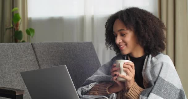 Mulher de negócios afro-americana estudante freelancer sentado em casa no sofá escondido com cobertor detém xícara de chá ou café quente em sua mão trabalhando à distância usando laptop surf na rede estudando online — Vídeo de Stock