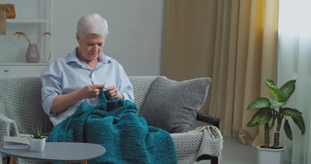 Wanita dewasa fokus memegang jarum menghabiskan waktu di rumah dengan merajut beristirahat dengan hobi duduk di sofa. Senior kaukasia berambut abu-abu nenek merajut kerajinan sweater buatan tangan — Stok Video