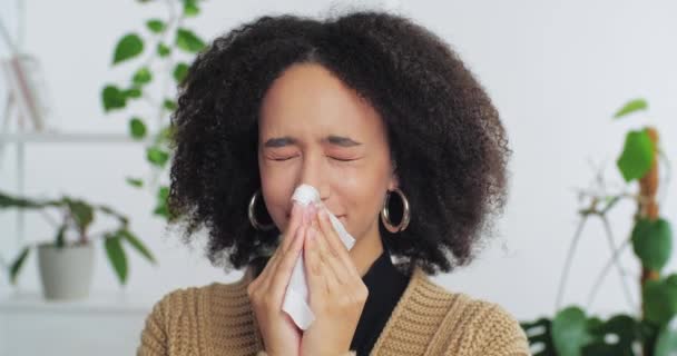 Head shot afro american millennial woman sick girl blows her runny nose into white paper napkin needs doctor sniffles suffers from illness holding her head feels headache seasonal allergy symptoms — Stock Video