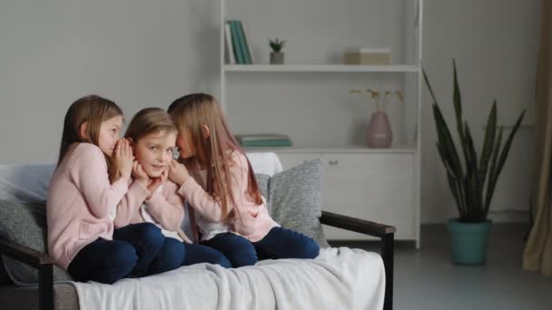 Tiga anak perempuan kecil sekelompok anak-anak duduk di sofa di ruang tamu berbagi rahasia berbisik satu sama lain telinga gosip menceritakan kisah-kisah pribadi yang aneh mendengarkan, masa kecil dan hubungan — Stok Video